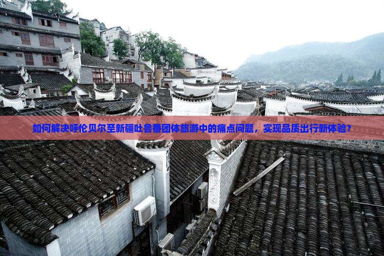 如何解决呼伦贝尔至新疆吐鲁番团体旅游中的痛点问题，实现品质出行新体验？