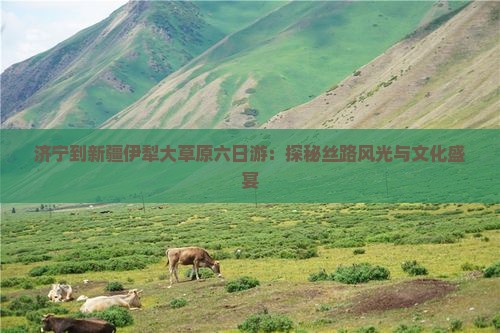 济宁到新疆伊犁大草原六日游：探秘丝路风光与文化盛宴