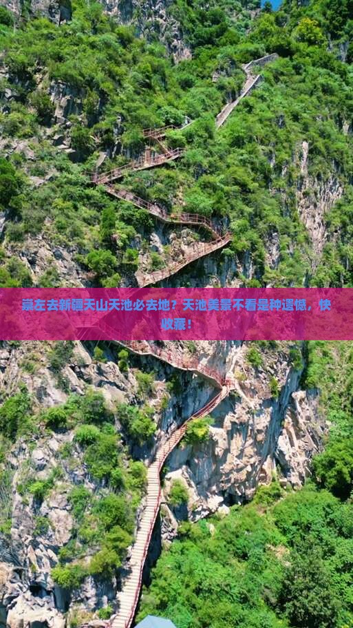 崇左去新疆天山天池必去地？天池美景不看是种遗憾，快收藏！