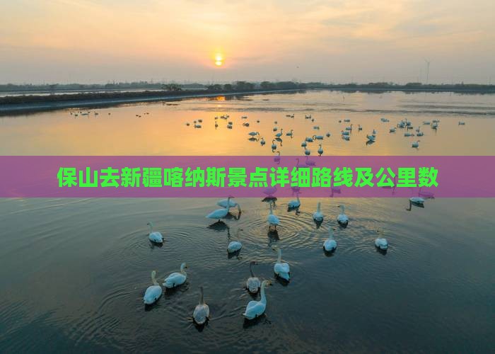 保山去新疆喀纳斯景点详细路线及公里数