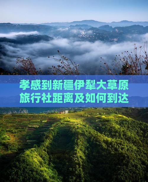 孝感到新疆伊犁大草原旅行社距离及如何到达