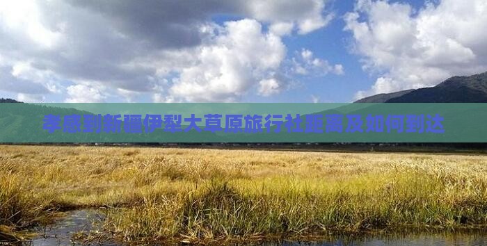 孝感到新疆伊犁大草原旅行社距离及如何到达