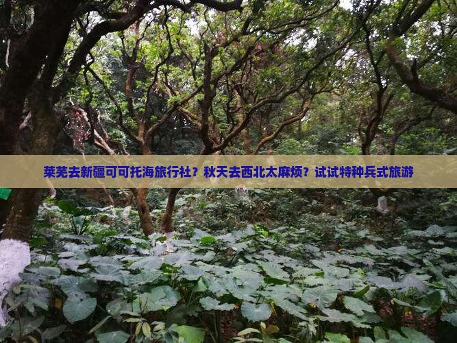 莱芜去新疆可可托海旅行社？秋天去西北太麻烦？试试特种兵式旅游