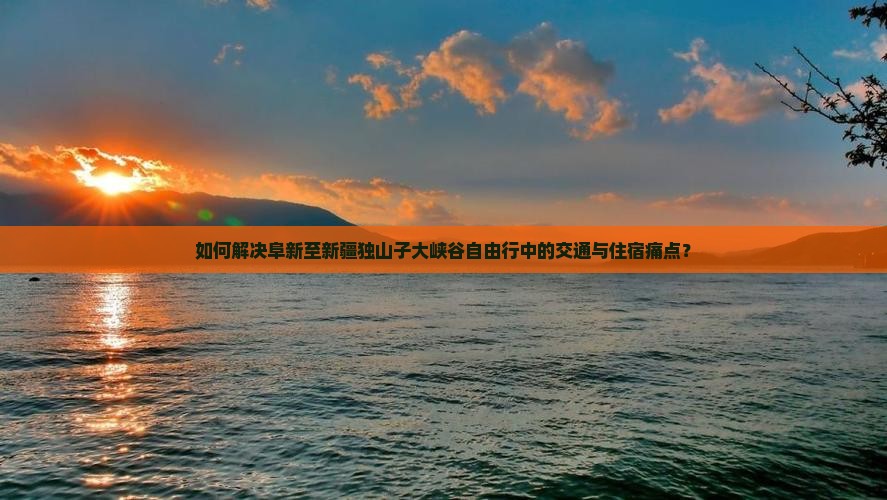 如何解决阜新至新疆独山子大峡谷自由行中的交通与住宿痛点？
