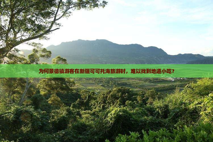 为何景德镇游客在新疆可可托海旅游时，难以找到地道小吃？