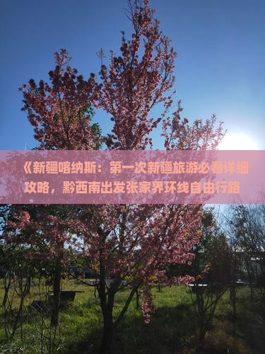 《新疆喀纳斯：第一次新疆旅游必看详细攻略，黔西南出发张家界环线自由行路线、景点信息一览》