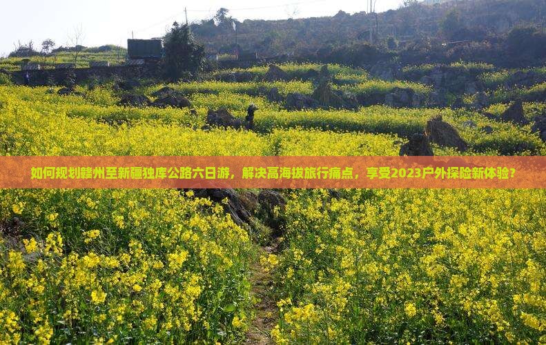 如何规划赣州至新疆独库公路六日游，解决高海拔旅行痛点，享受2023户外探险新体验？