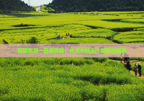 新疆旅游一日游攻略：从汉中到禾木的旅行指南