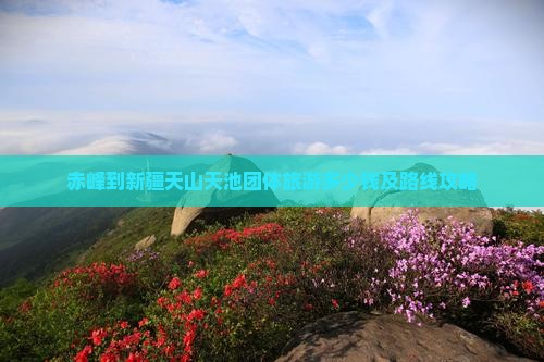 赤峰到新疆天山天池团体旅游多少钱及路线攻略