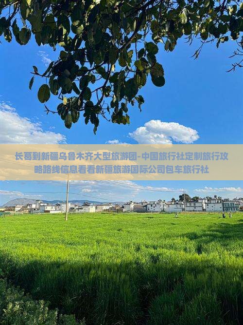 长葛到新疆乌鲁木齐大型旅游团-中国旅行社定制旅行攻略路线信息看看新疆旅游国际公司包车旅行社