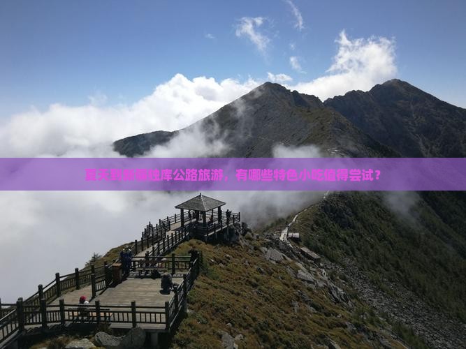 夏天到新疆独库公路旅游，有哪些特色小吃值得尝试？