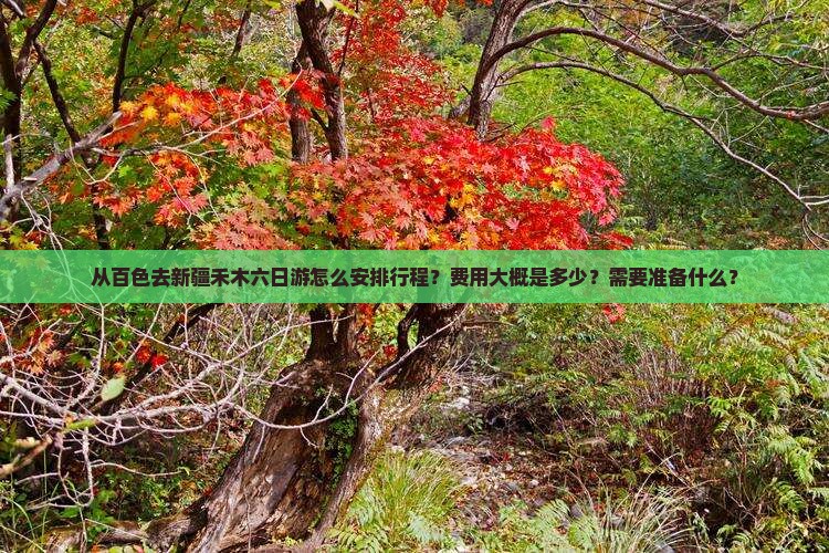 从百色去新疆禾木六日游怎么安排行程？费用大概是多少？需要准备什么？
