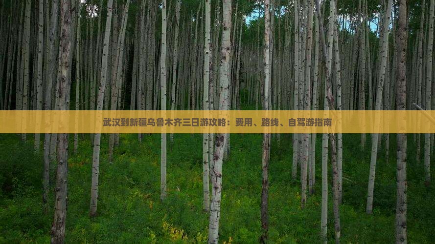武汉到新疆乌鲁木齐三日游攻略：费用、路线、自驾游指南