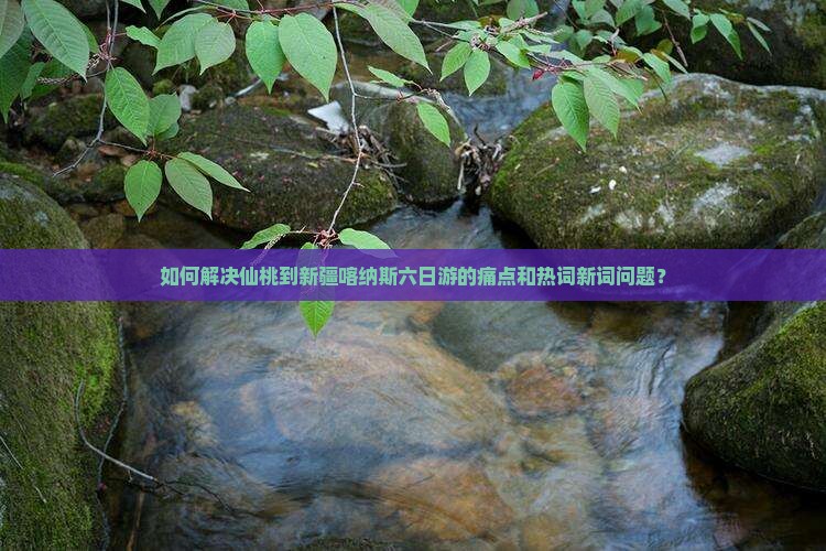 如何解决仙桃到新疆喀纳斯六日游的痛点和热词新词问题？