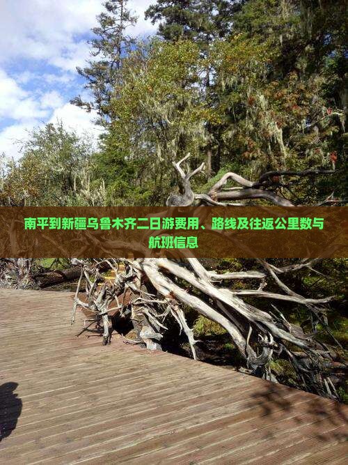 南平到新疆乌鲁木齐二日游费用、路线及往返公里数与航班信息