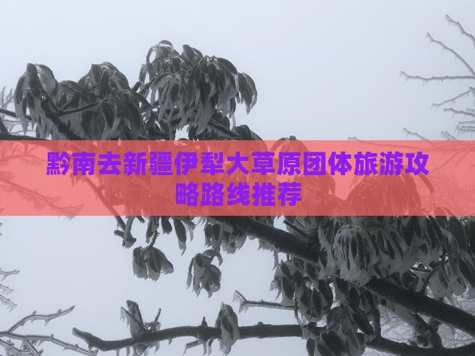 黔南去新疆伊犁大草原团体旅游攻略路线推荐