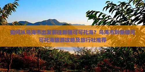 如何从乌海市出发前往新疆可可托海？乌海市到新疆可可托海旅游攻略及旅行社推荐