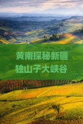 黄南探秘新疆独山子大峡谷：深度旅游攻略与山子峡谷景点全览