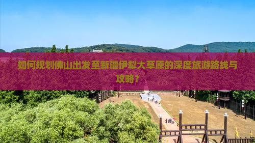 如何规划佛山出发至新疆伊犁大草原的深度旅游路线与攻略？