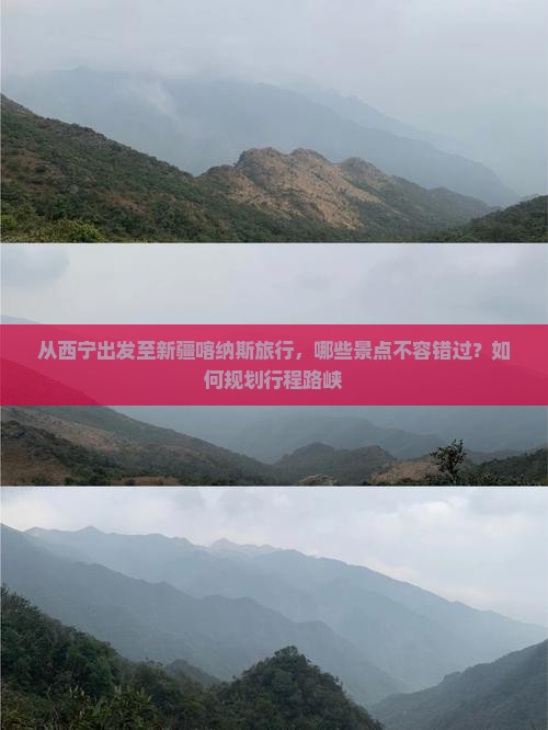 从西宁出发至新疆喀纳斯旅行，哪些景点不容错过？如何规划行程路峡