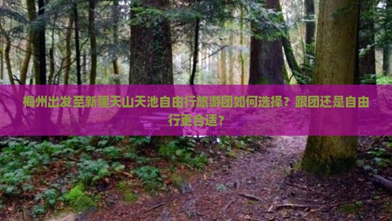 梅州出发至新疆天山天池自由行旅游团如何选择？跟团还是自由行更合适？