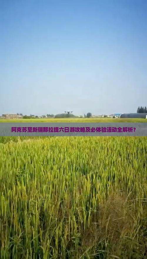 阿克苏至新疆那拉提六日游攻略及必体验活动全解析？