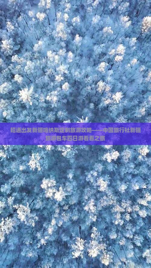 昭通出发新疆喀纳斯定制旅游攻略——中国旅行社新疆旅游包车四日游看看之旅