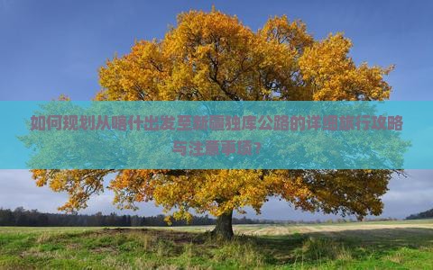 如何规划从喀什出发至新疆独库公路的详细旅行攻略与注意事项？