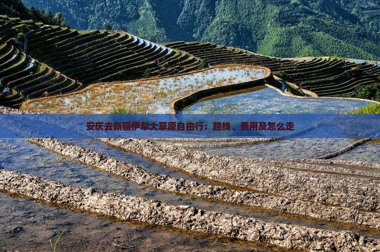 安庆去新疆伊犁大草原自由行：路线、费用及怎么走