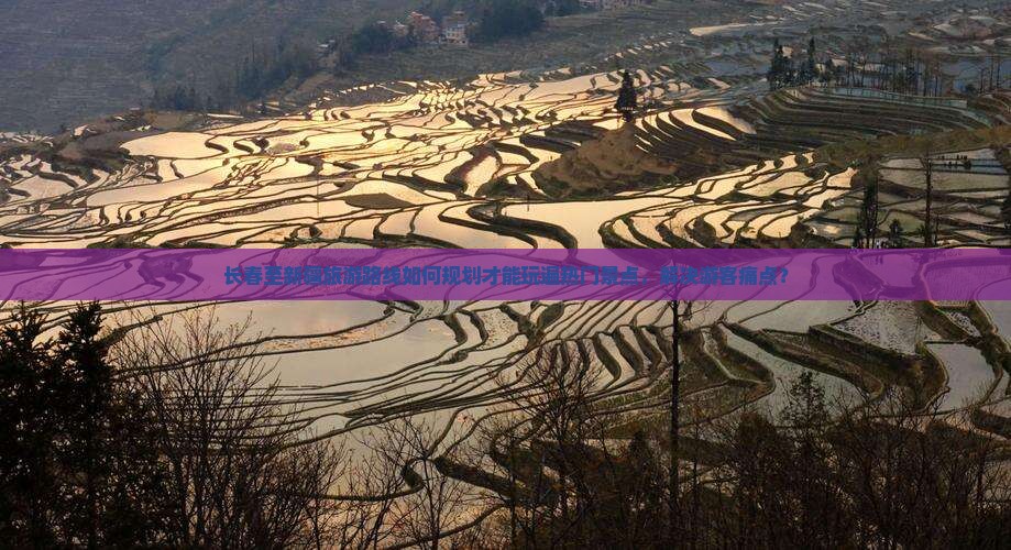 长春至新疆旅游路线如何规划才能玩遍热门景点，解决游客痛点？