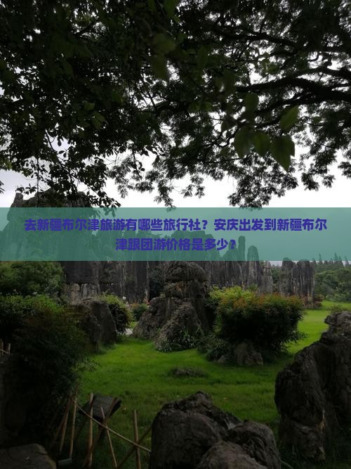 去新疆布尔津旅游有哪些旅行社？安庆出发到新疆布尔津跟团游价格是多少？