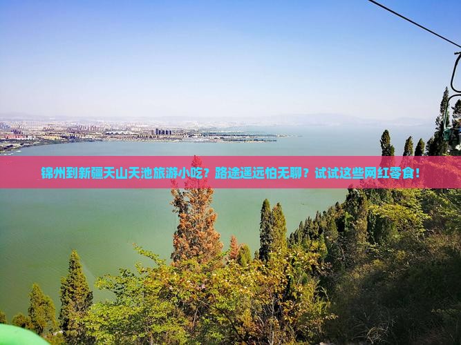 锦州到新疆天山天池旅游小吃？路途遥远怕无聊？试试这些网红零食！