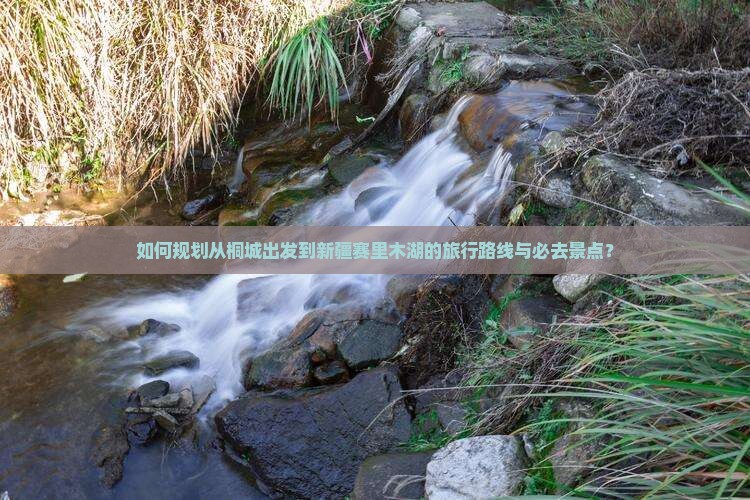 如何规划从桐城出发到新疆赛里木湖的旅行路线与必去景点？