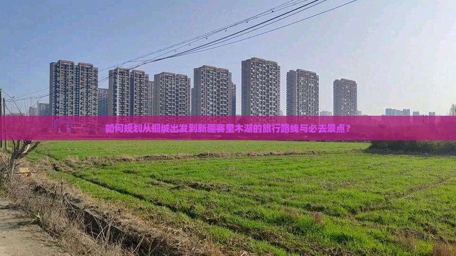 如何规划从桐城出发到新疆赛里木湖的旅行路线与必去景点？