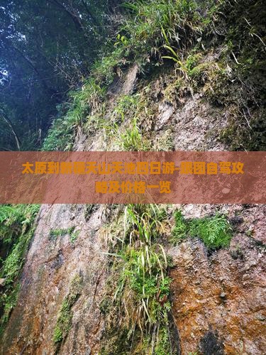 太原到新疆天山天池四日游-跟团自驾攻略及价格一览