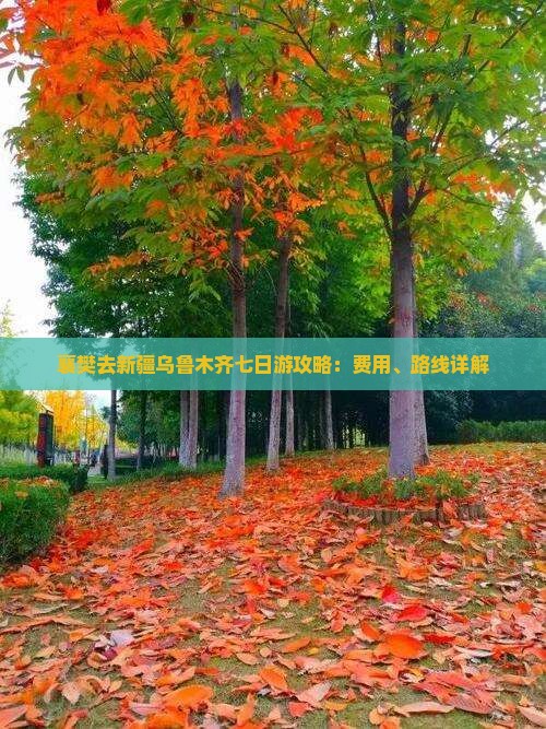 襄樊去新疆乌鲁木齐七日游攻略：费用、路线详解