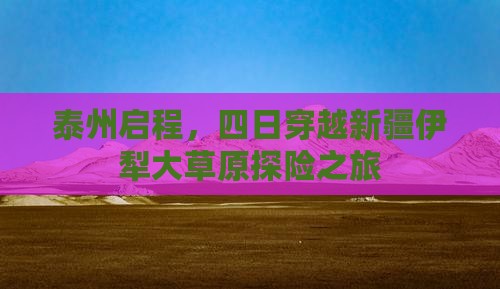 泰州启程，四日穿越新疆伊犁大草原探险之旅