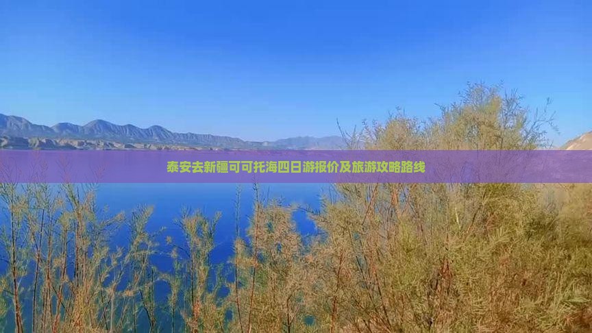 泰安去新疆可可托海四日游报价及旅游攻略路线