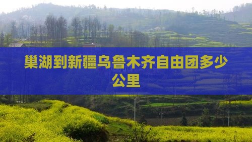 巢湖到新疆乌鲁木齐自由团多少公里