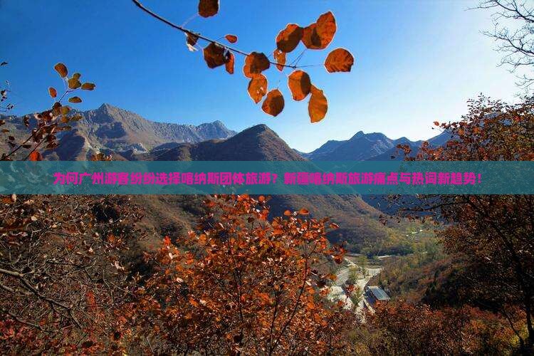 为何广州游客纷纷选择喀纳斯团体旅游？新疆喀纳斯旅游痛点与热词新趋势！