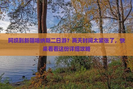 阿坝到新疆喀纳斯二日游？两天时间太紧张了，快来看看这份详细攻略