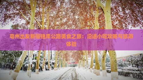 亳州出发新疆独库公路美食之旅：沿途小吃攻略与旅游体验