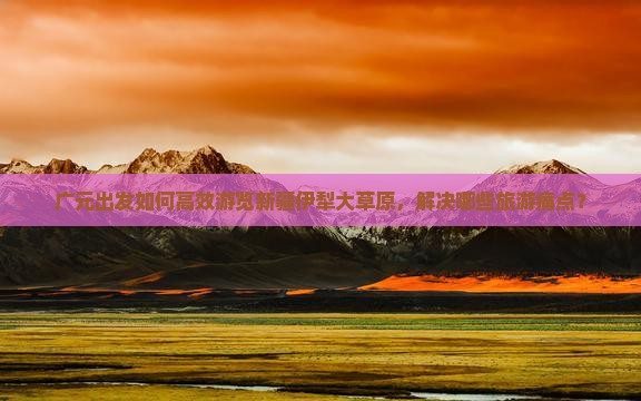 广元出发如何高效游览新疆伊犁大草原，解决哪些旅游痛点？