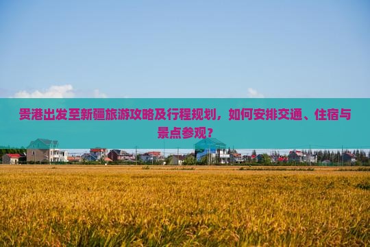 贵港出发至新疆旅游攻略及行程规划，如何安排交通、住宿与景点参观？