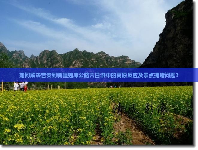 如何解决吉安到新疆独库公路六日游中的高原反应及景点拥堵问题？