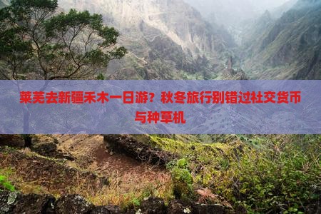 莱芜去新疆禾木一日游？秋冬旅行别错过社交货币与种草机