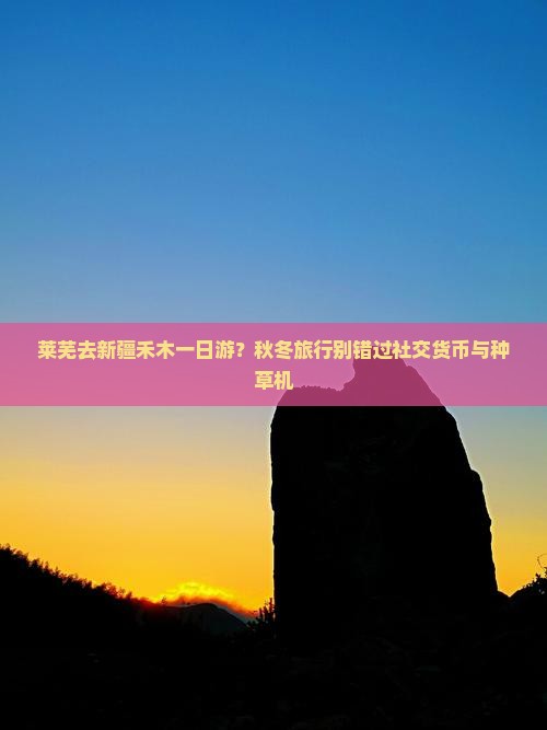 莱芜去新疆禾木一日游？秋冬旅行别错过社交货币与种草机