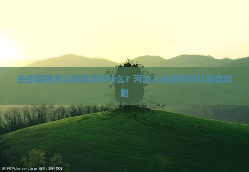去新疆独库公路旅游吃什么？河池人必备的网红美食攻略