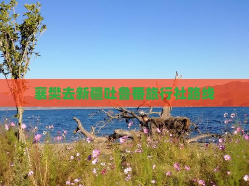 襄樊去新疆吐鲁番旅行社路线