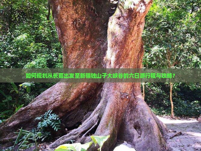 如何规划从长葛出发至新疆独山子大峡谷的六日游行程与攻略？
